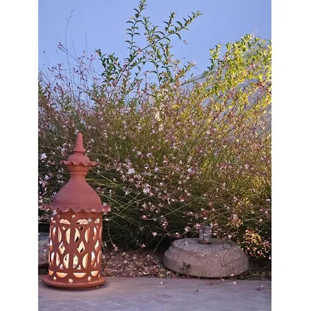 Σπίτι διακοπών Glycine Jasmim